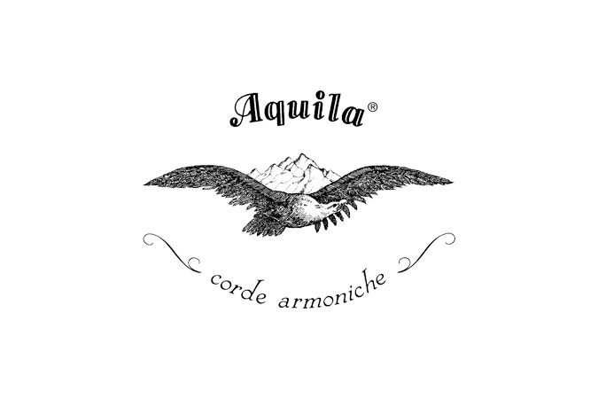 Aquila