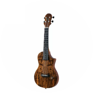 EU Electric Series