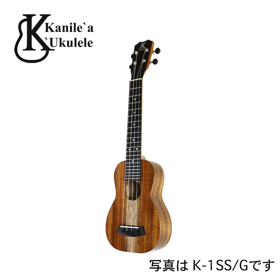 K-1SS/DG
