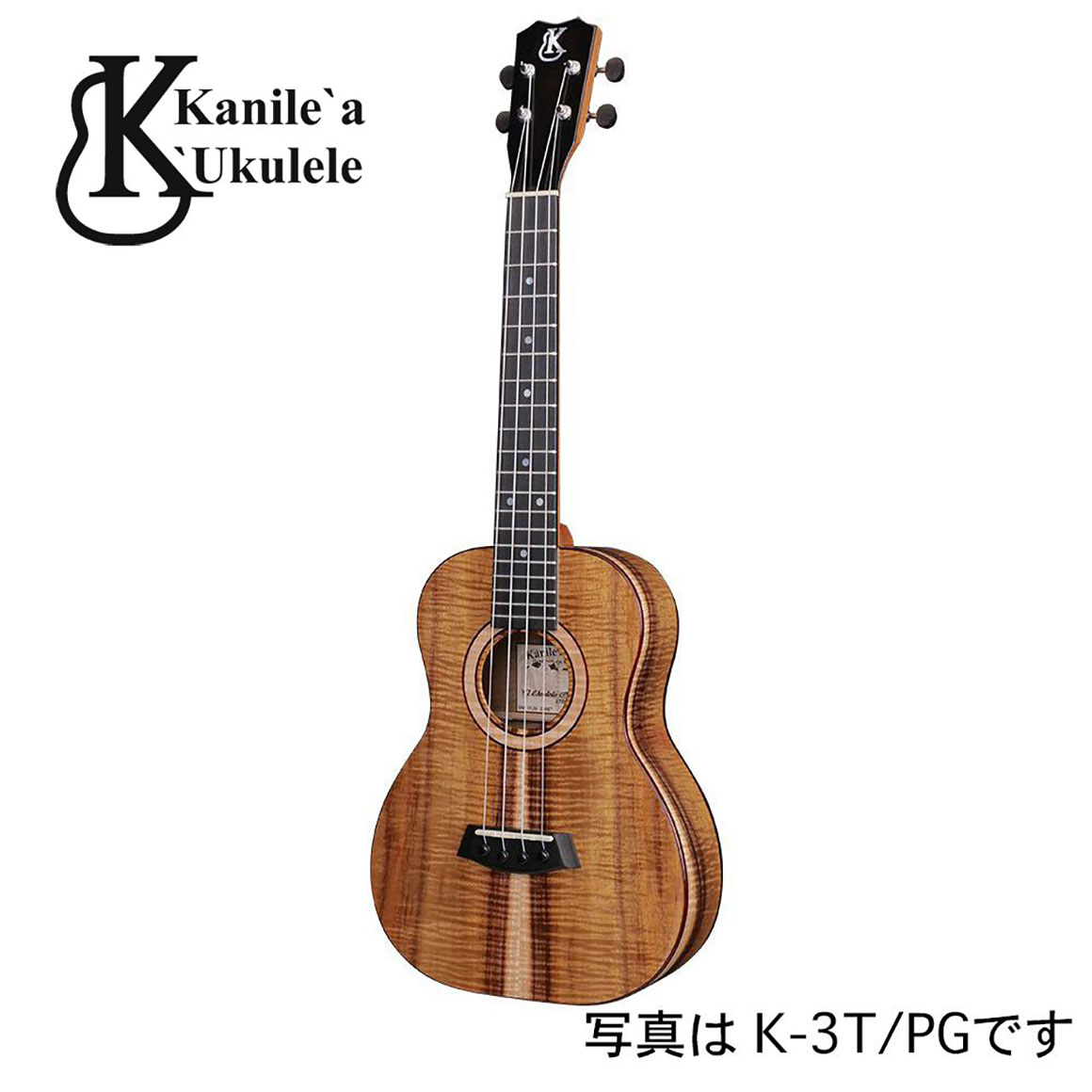 K-3T/DG