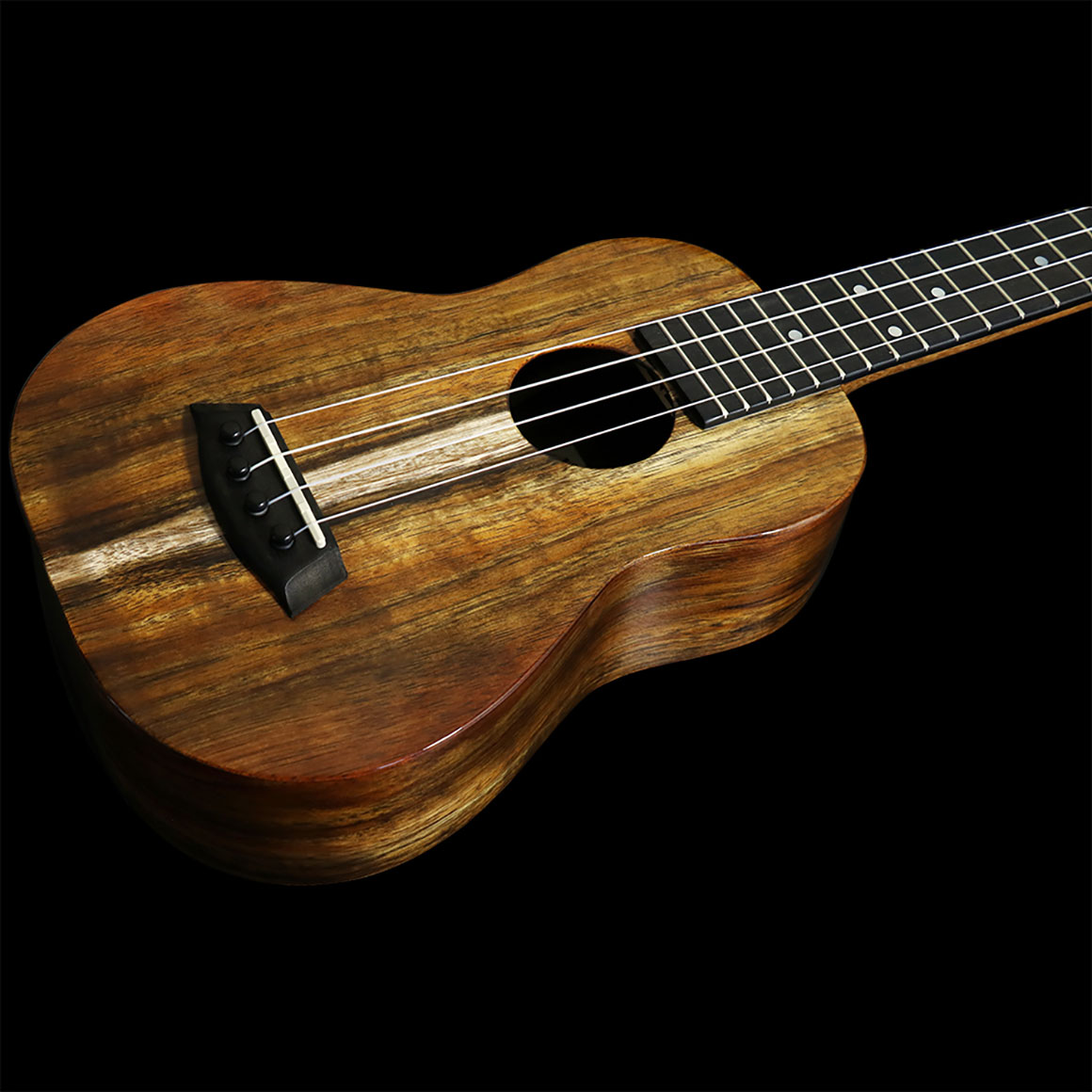 K-1SC/G