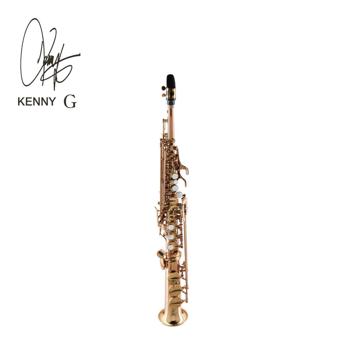 KGSSCL-GVI