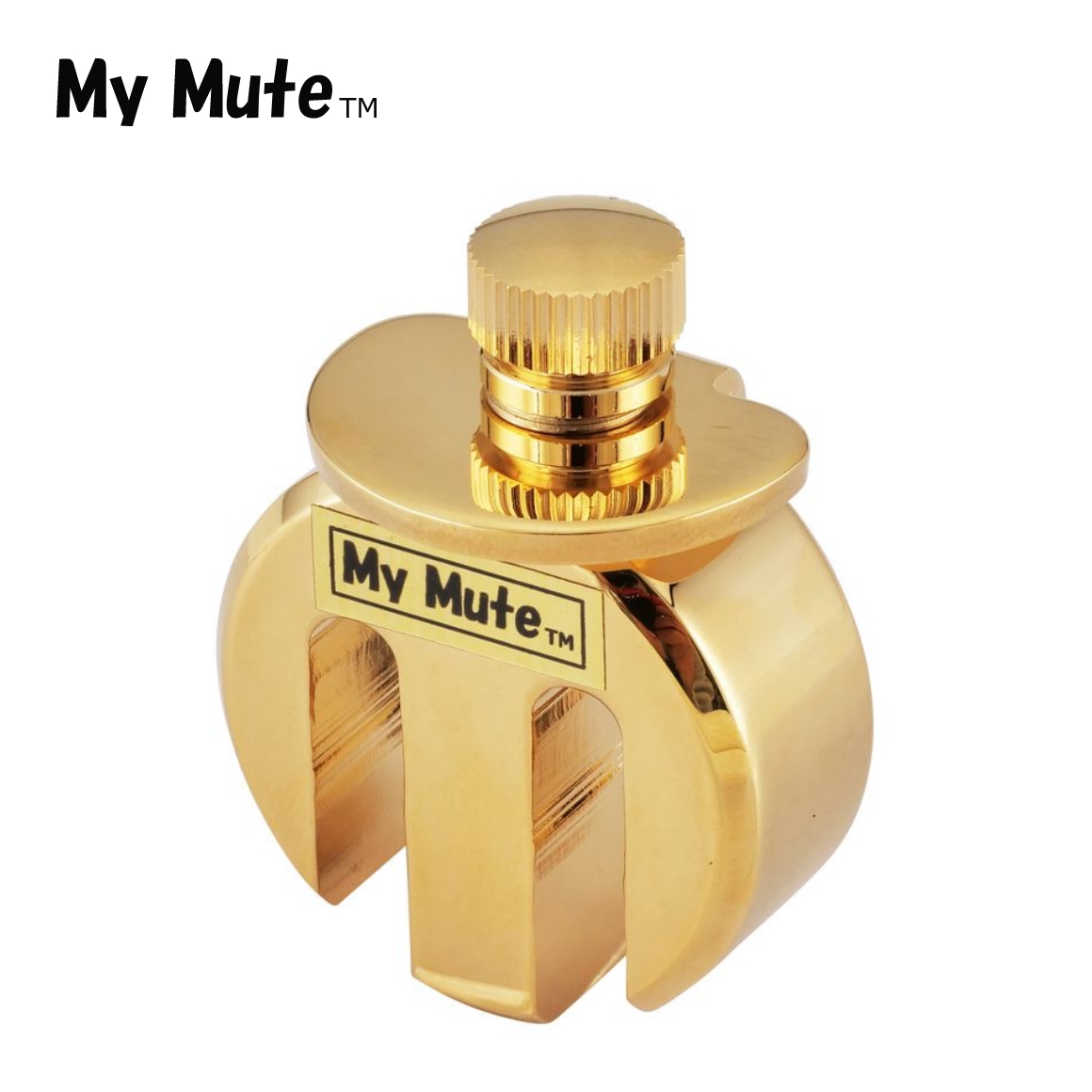 MM-V