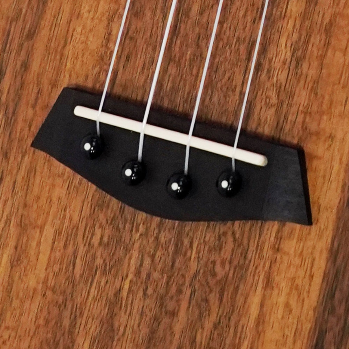 SAC-4