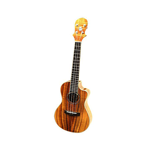 K5A Artist Series