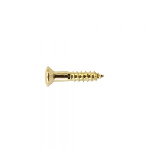 PS08G Mounting Ring Screw