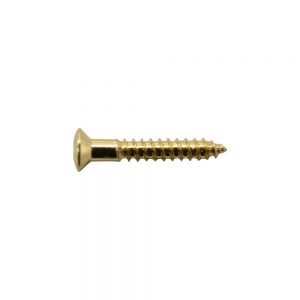 PS09G Mounting Ring Screw