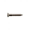 PS09N Mounting Ring Screw