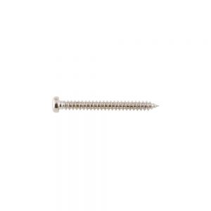 PS10N Pickup Mounting Screw