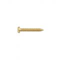PS14G Pickup Mounting Screw