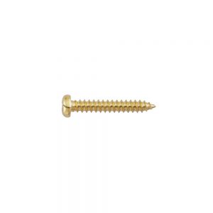 PS14G Pickup Mounting Screw