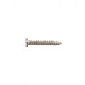 PS14N Pickup Mounting Screw