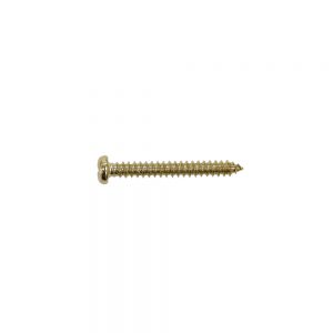 PS15G Pickup Mounting Screw