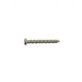 PS15N Pickup Mounting Screw