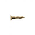 PSH08G Mounting Ring Screw