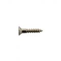 PSH08N Mounting Ring Screw