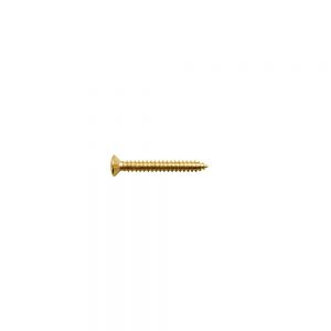 TS-02G Bridge/Tremolo Mounting Screw