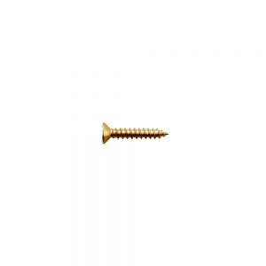 TS-04G Bridge/Tremolo Mounting Screw