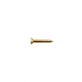TS-05G Bridge/Tremolo Mounting Screw