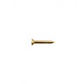 TS-05G Bridge/Tremolo Mounting Screw