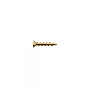 TS-05G Bridge/Tremolo Mounting Screw