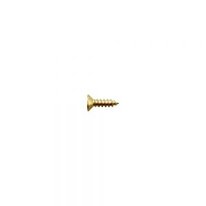 TS-06G Bridge/Tremolo Mounting Screw