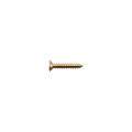 TS-08G Bridge/Tremolo Mounting Screw