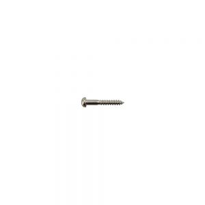 WS-05C Bridge/Tremolo Mounting Screw