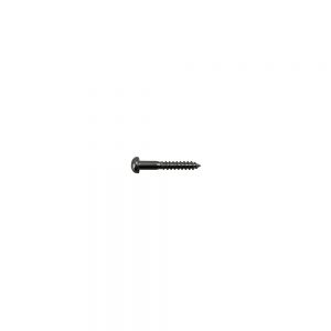 WS-05CK Bridge/Tremolo Mounting Screw