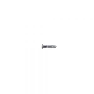 WS-09C Bridge/Tremolo Mounting Screw