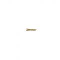 WS-09G Bridge/Tremolo Mounting Screw