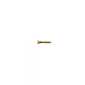 WS-09G Bridge/Tremolo Mounting Screw