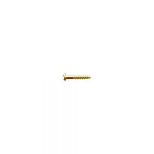 WS-11G String Retainer Screw