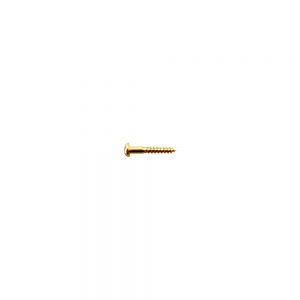 WS-12G String Retainer Screw