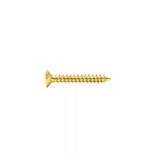 NS-01G Bridge/Tremolo Mounting Screw