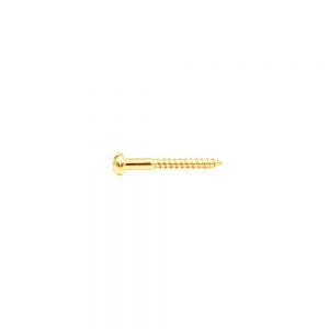 NS-02G Tailpiece Screw