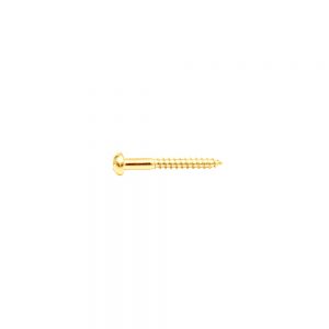 NS-02G Tailpiece Screw