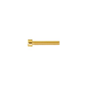 PL19G Polepiece Screw