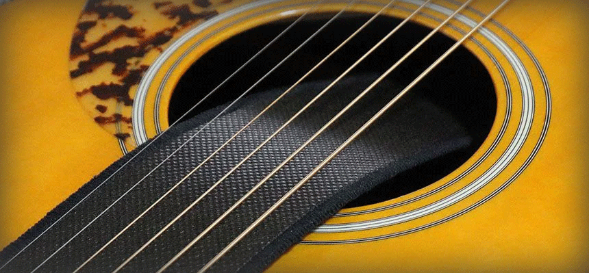 Fret Shield