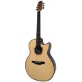 HA-M Hiramitsu guitar_Mango