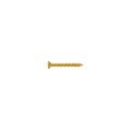 TS-03G-35 Neck Plate Screw
