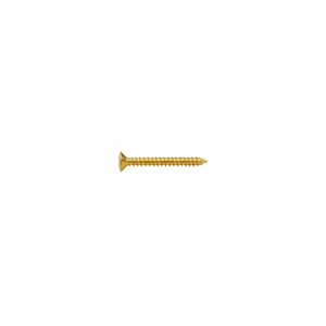 TS-03G-35 Neck Plate Screw