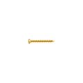 TS-03G-40 Neck Plate Screw