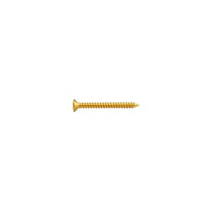 TS-03G-40 Neck Plate Screw