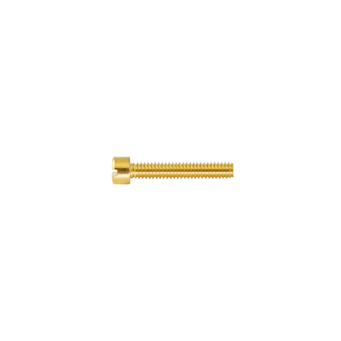 PL19GI