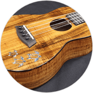 HNS Series