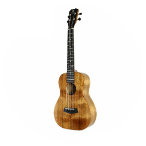 K-1/P-1 Series