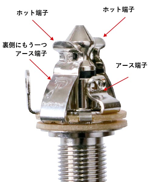 PTT1