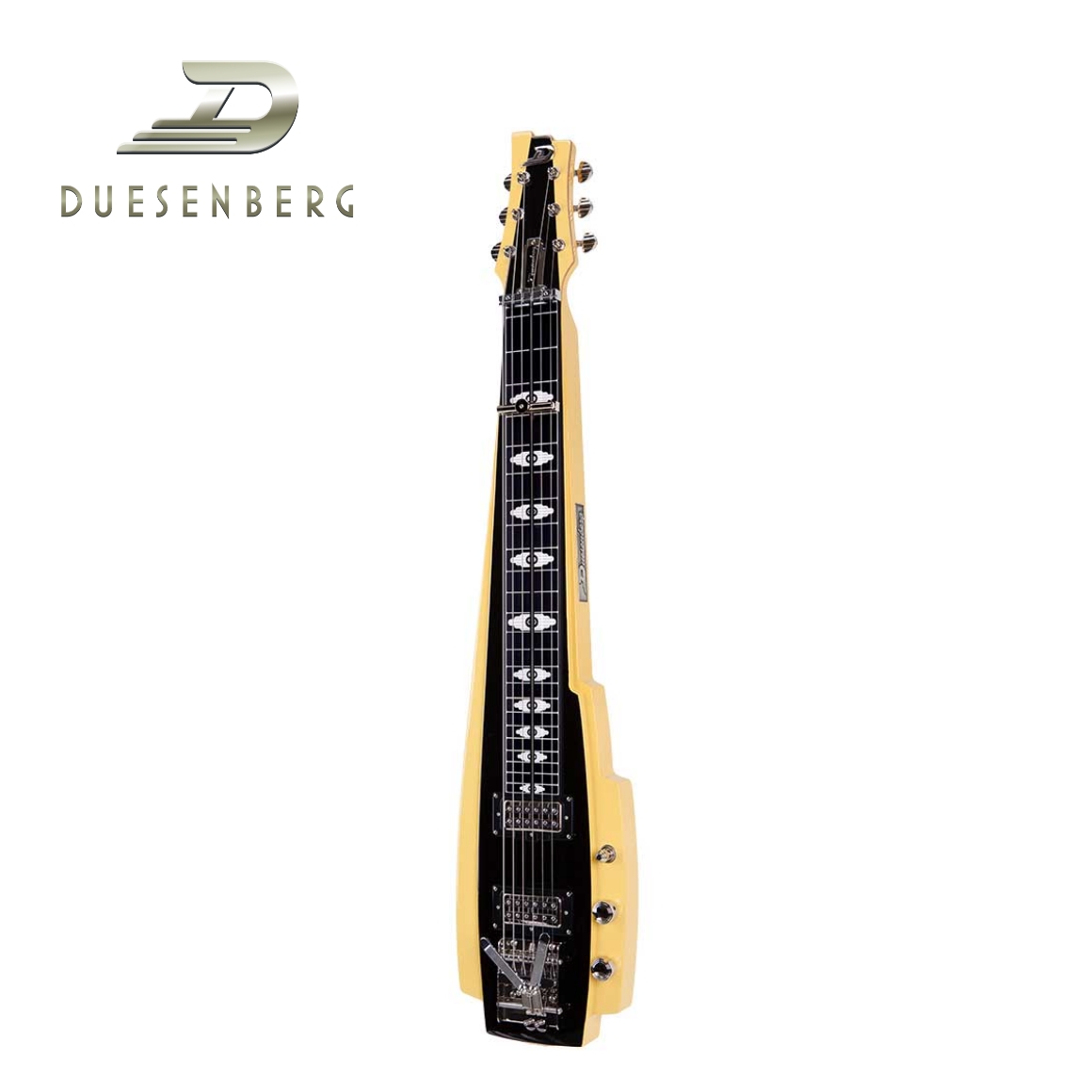 DLS-P6