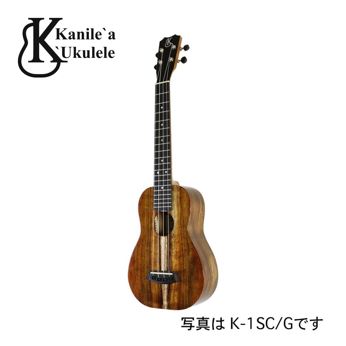K-1SC/N